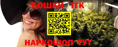 тгк Гусев